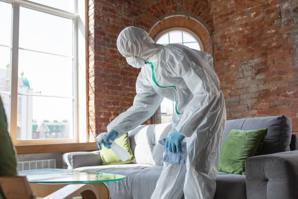 Trusted Upland, CA Mold Removal & Remediation Experts